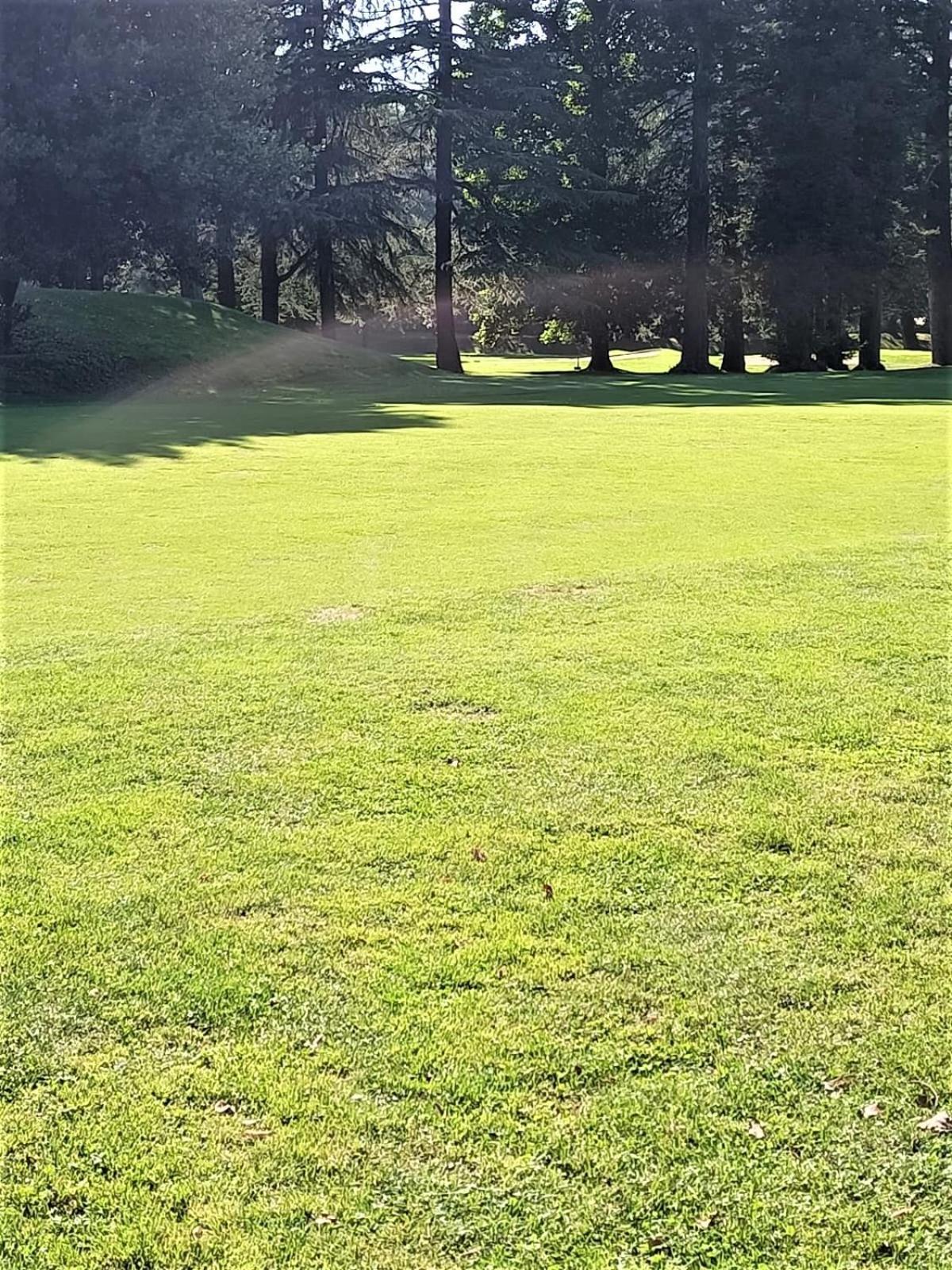 Fronte Del Golf Rapallo Exterior foto