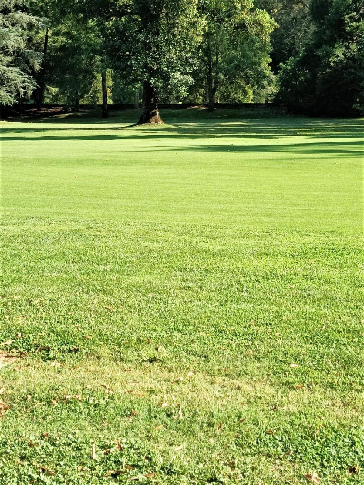 Fronte Del Golf Rapallo Exterior foto